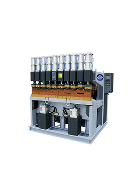 ZYPXXXX-XX-X  Multipoint row welder